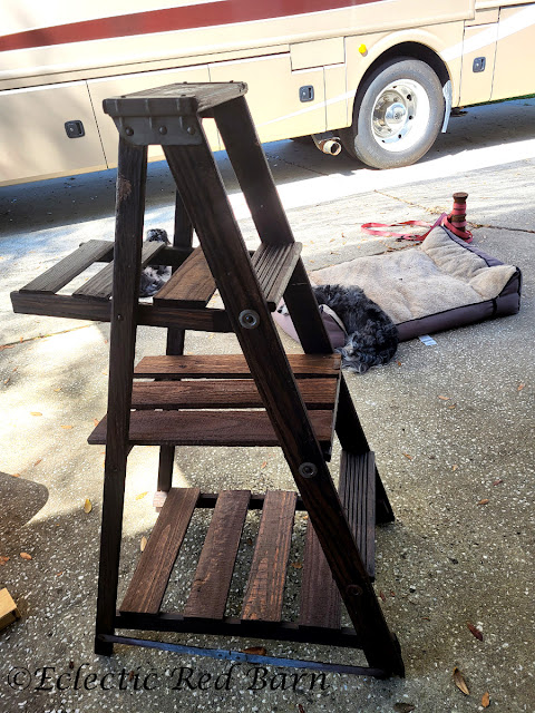 Ladder Plant Stand. Share NOW. #oldladder #plantstand #gardening #eclecticredbarn