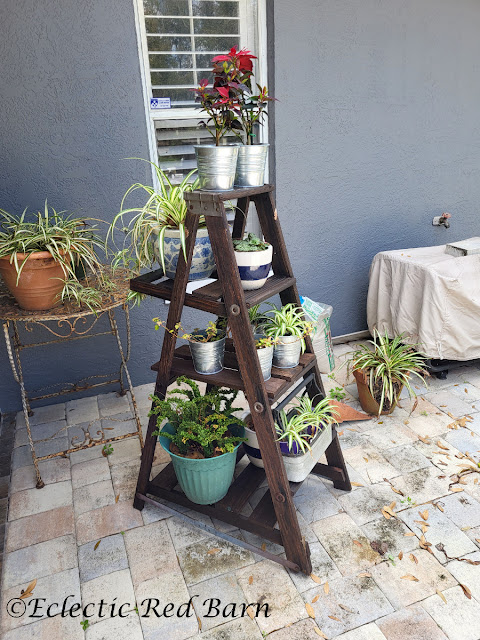 Ladder Plant Stand. Share NOW. #oldladder #plantstand #gardening #eclecticredbarn