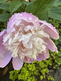 Garden Makeover Garden Makeover