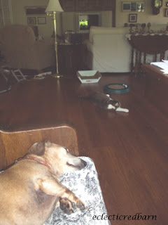 Claire and Marina sleeping