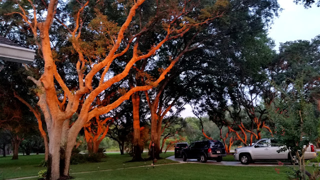 Eclecticredbarn. Share NOW. #sunsets #eclecticredbarn 