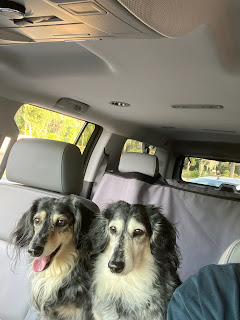 Thursday Favorite Things. Share NOW. #linkyparty. #TFT #thursdaayfavoritethings #eclecticredbarn