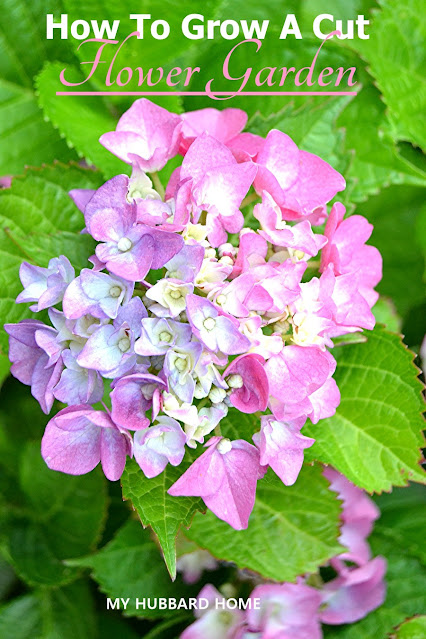 Thursday Favorite Things. Share NOW. #linkyparty. #TFT #thursdaayfavoritethings #eclecticredbarn