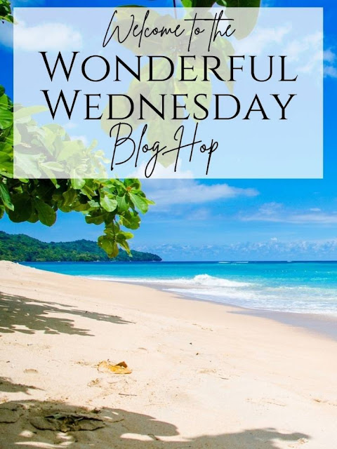 Wonderful Wednesday Blog Hop. Share NOW. #wwbh,#WWBloghop, #bev@eclecticredbarn