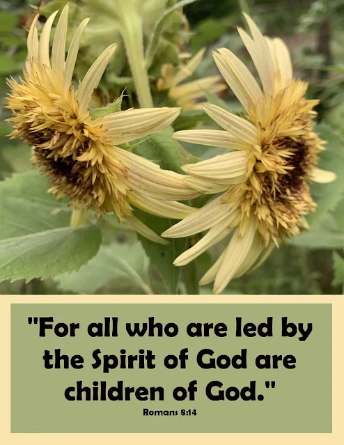 Thursday Favorite Things. Share NOW. #linkyparty. #TFT #thursdaayfavoritethings #eclecticredbarn