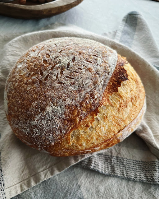 Wonderful Wednesday Blog Hop. Share NOW. #wwbh #wwbloghop #wonderfulwednesdaybloghop #eclecticredbarn