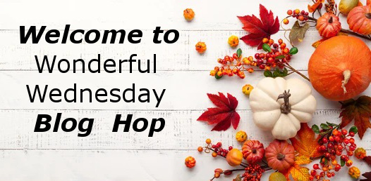 Wonderful Wednesday Blog Hop. Share NOW. #wwbh #wwbloghop #wonderfulwednesdaybloghop #eclecticredbarn