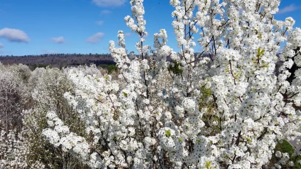 Thursday Favorite Things. Share NOW. #linkyparty. #TFT #thursdaayfavoritethings #eclecticredbarn