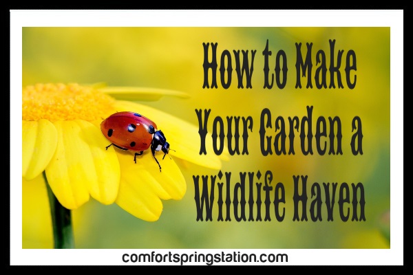 Thursday Favorite Things. Share NOW. #linkyparty. #TFT #thursdaayfavoritethings #eclecticredbarn