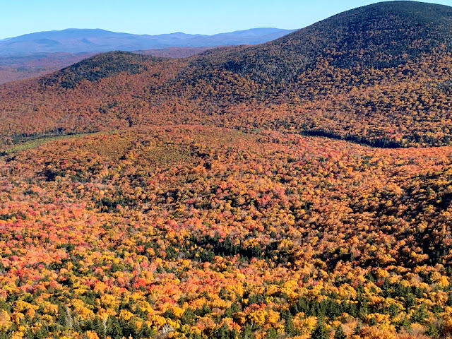Vermont Fall Foliage. Share NOW. #fallfoliage #fall #Vermont #foliage #eclecticredbarn