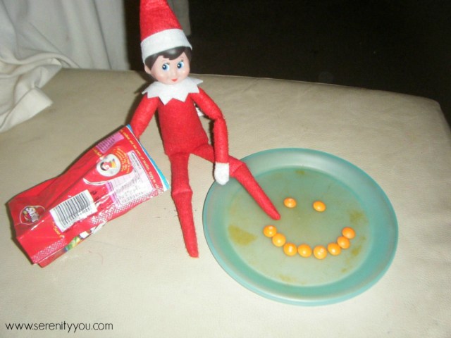 The Elf on the shelf 10