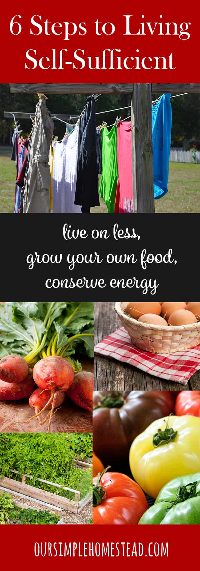 6 Steps to Living a Self-Sufficient Lifestyle