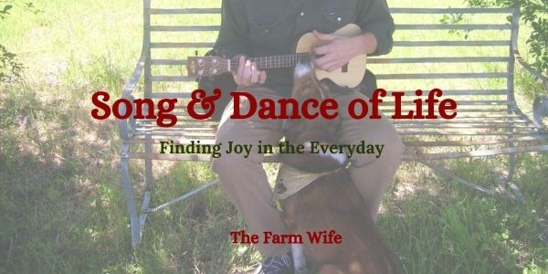 song and dance with a dog intently listening