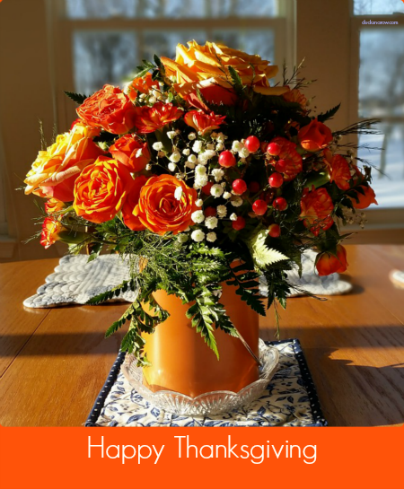 Happy Thanksgiving from Wonderful Wednesday Blog HOp