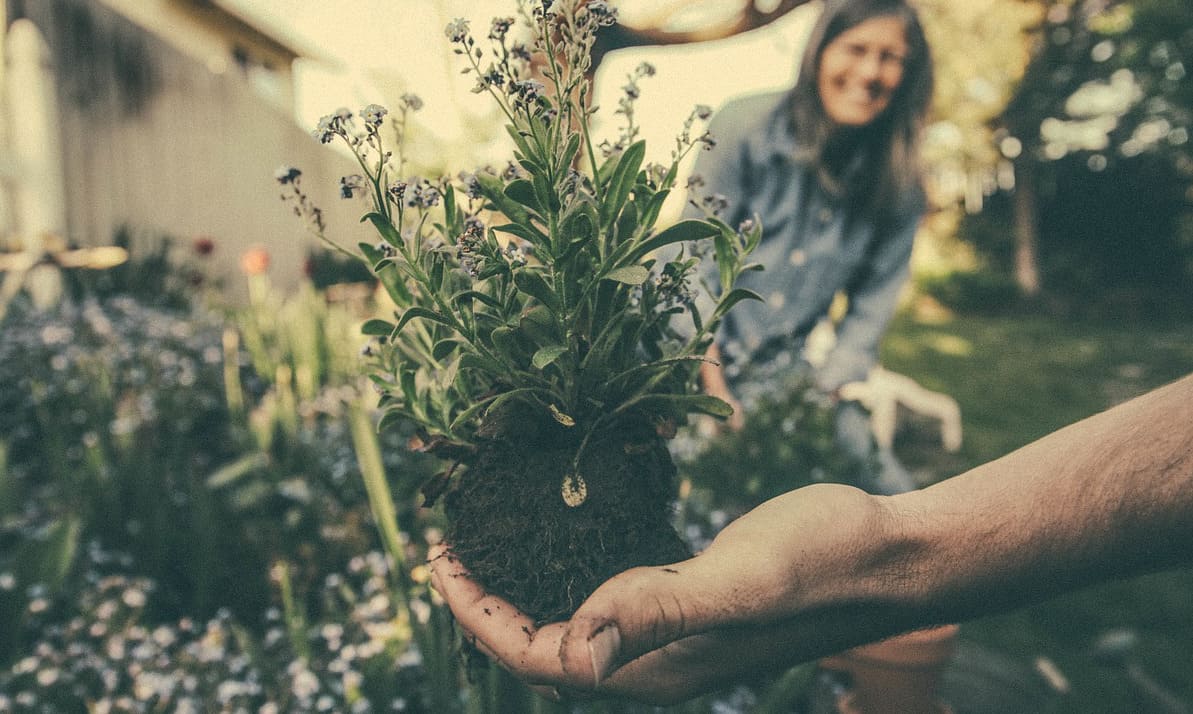 If You Like To Garden, You'll Love These 14 Gardening Tips 1