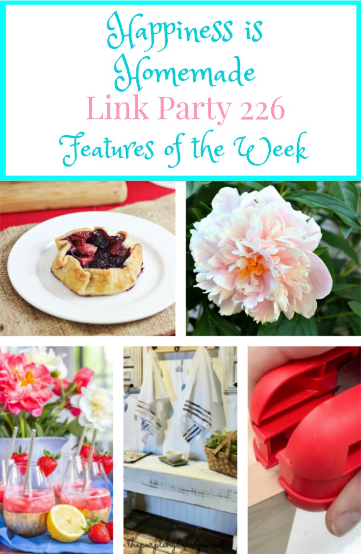 Happiness is Homemade Link Party 226. Share your DIY, recipe, home decor, gardening posts. BlueskyatHome.com #linkparty #happiessishomemade #linkparties 