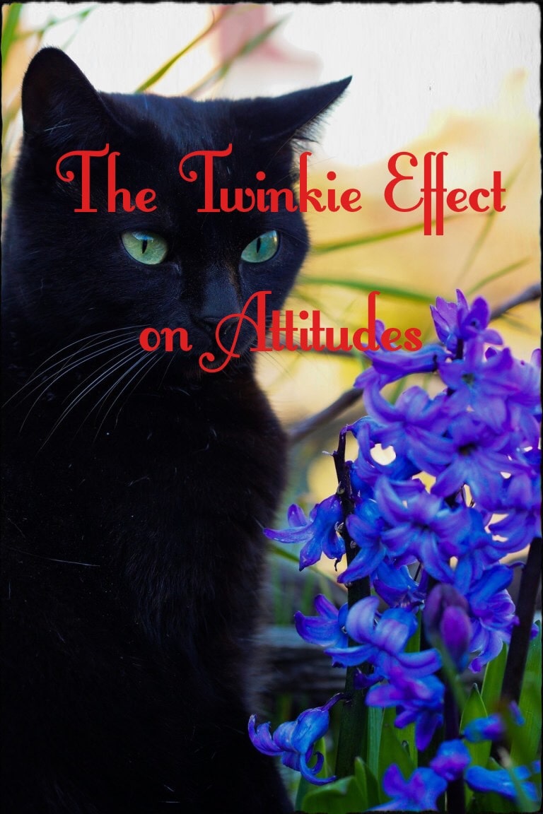 Wonderful Wednesday Blog Hop. recipes, DIY, crafts, stories, fashion #linkyparty #WWBH #eclecticredbarn