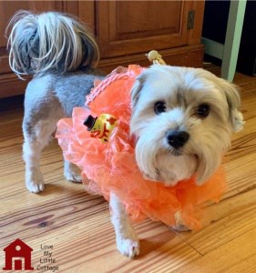 loofah puppy costume