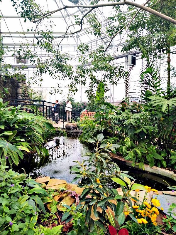 Wonderful Wednesday Blog Hop. Share NOW. #WWBH #WWBloghop #wonderfulwednesdaybloghop #linkyparty #eclecticredbarn