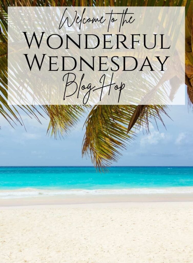 Wonderful Wednesday Blog Hop. Share NOW. #wwbh #wwbloghop #wonderfulwednesdaybloghop #eclecticredbarn