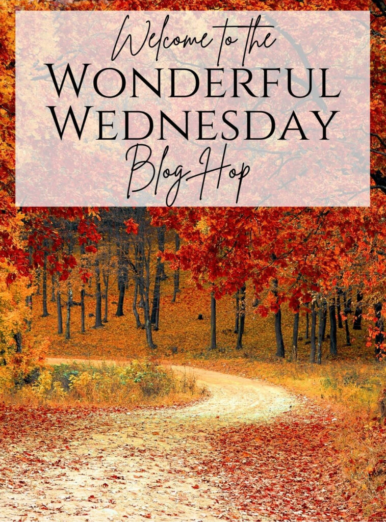 winding road with fall leaves on the ground and fall colored trees