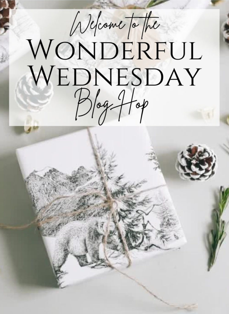 Welcome to the Wonderful Wednesday Blog Hop winter picture with wrapped package and pinecones