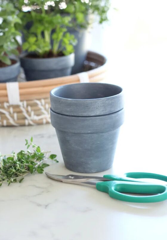 Aged Potting and Pots